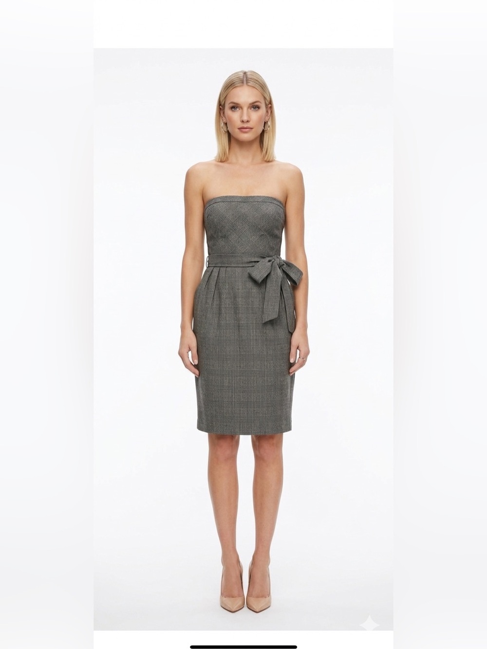 Lida Baday Wool Plaid Strapless Dress Size 4 Academia Business Casual Office 4